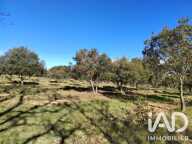 Vente Truffière 6 000 m&sup2; — photo 4