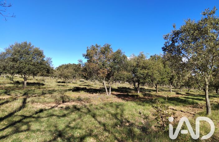 Vente Truffière 6 000 m&sup2; — photo 4