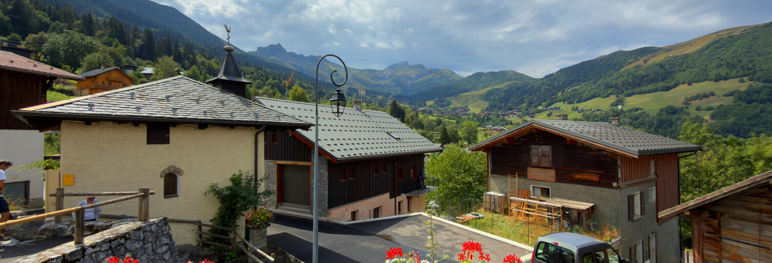 Maison 280 m² en viager Les Avanchers-Valmorel (73260)