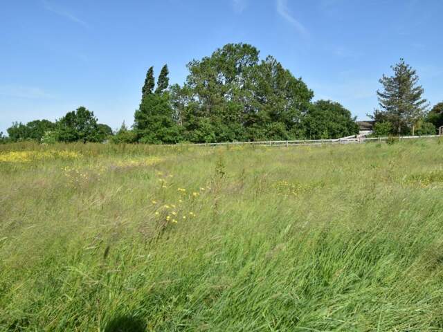 GRAND TERRAIN A PETIT PRIX — photo du bien