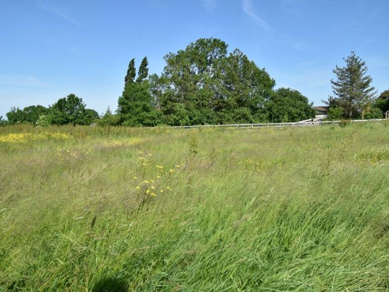 GRAND TERRAIN A PETIT PRIX — photo 1