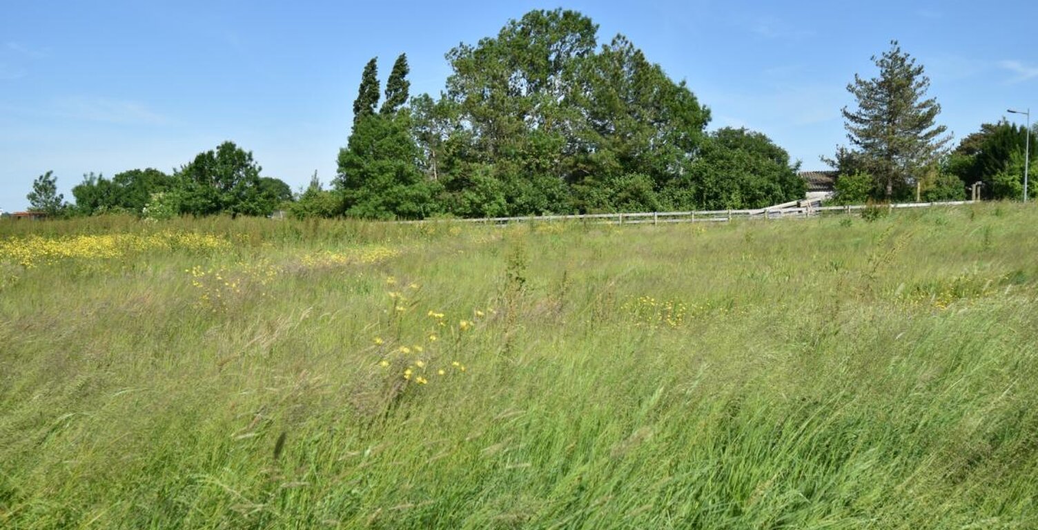 GRAND TERRAIN A PETIT PRIX — photo 1