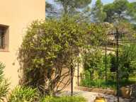 Maison à vendre  5 chambres dont deux au RDC.  LE CANNET DES MAURES (83340) — photo 3