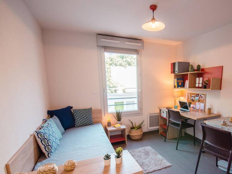 Spécial Investisseur Studio 19.14 m² — photo 1