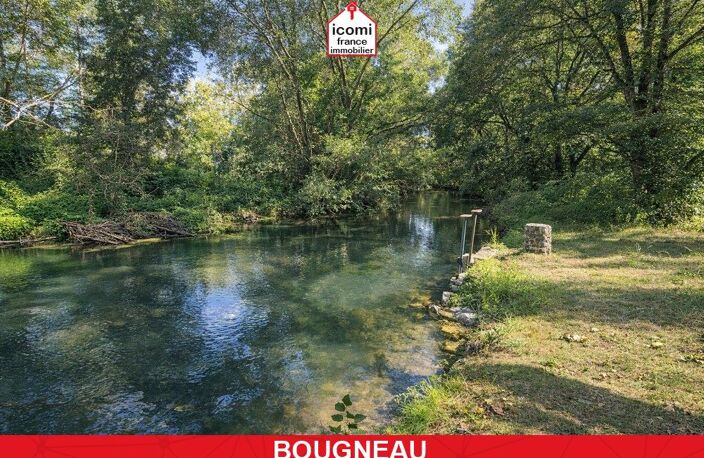 CHARENTE-MARITIME - Bougneau (17800) - A VENDRE - PROPRIETE DE +800² SUR 1.5HA - AMENAGEMENT ACTUEL 1 DUPLEX ET 2 APT INVITES  - CARRIERE - DEPENDANCE - AUTHENTICITE - CHARME - RARE — photo 3