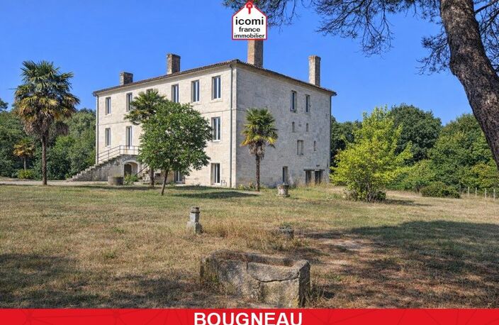 CHARENTE-MARITIME - Bougneau (17800) - A VENDRE - PROPRIETE DE +800² SUR 1.5HA - AMENAGEMENT ACTUEL 1 DUPLEX ET 2 APT INVITES  - CARRIERE - DEPENDANCE - AUTHENTICITE - CHARME - RARE — photo 2