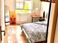 T3 — photo 3