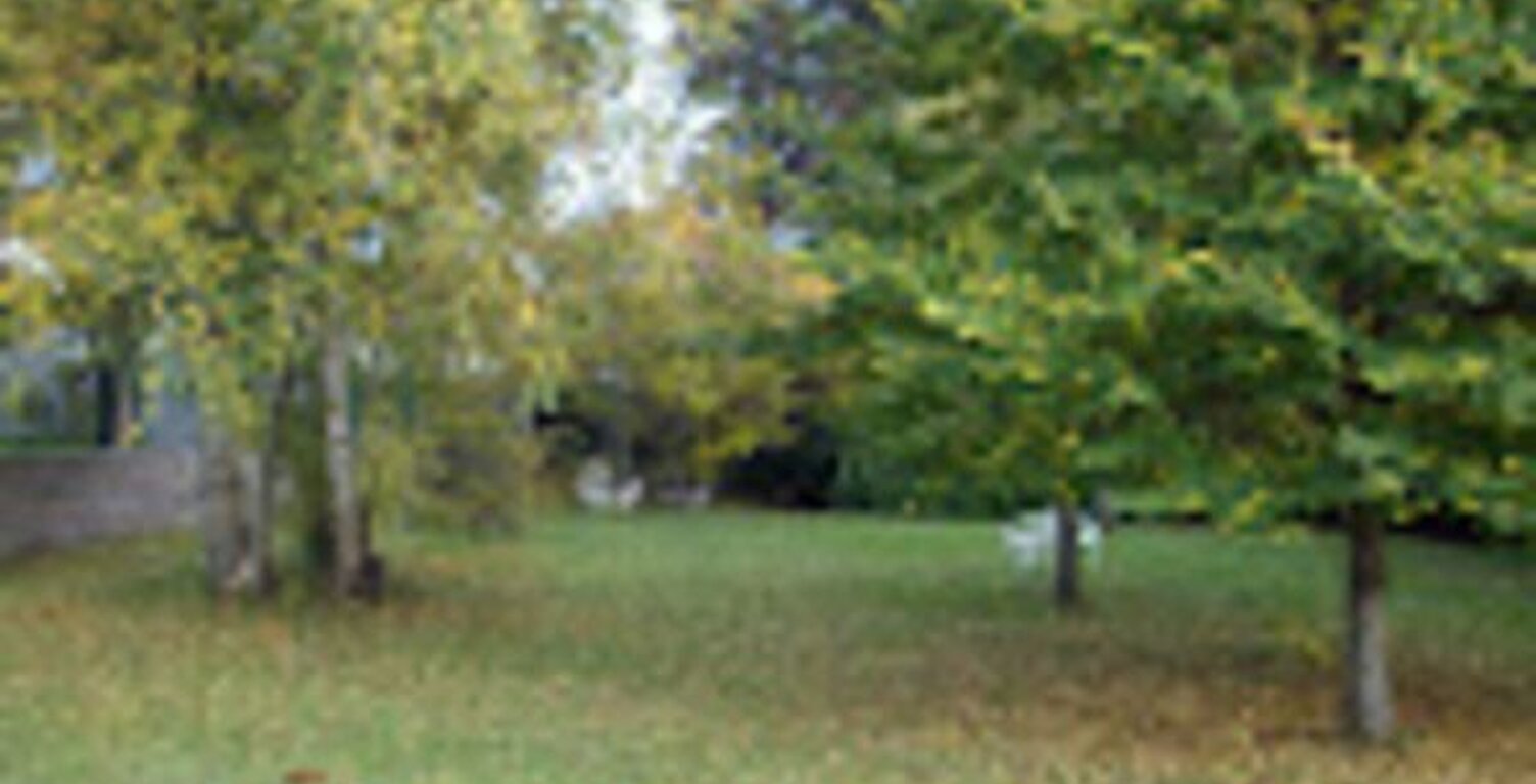 Studio de 28m2 à louer sur Granges-Aumontzey — photo 1