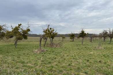 Terrain  95000 €