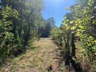 Terrain à vendre proche de CONTRES à FRESNES — photo 4