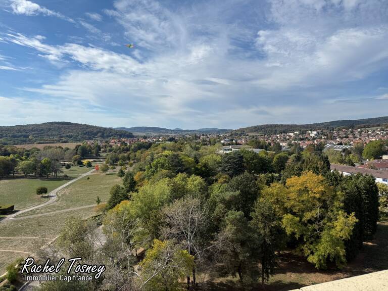 Appartement à louer 2 pièces BELFORT VUE SUPERBE sur les VOSGES ! balcon, cellier et cave — photo 1