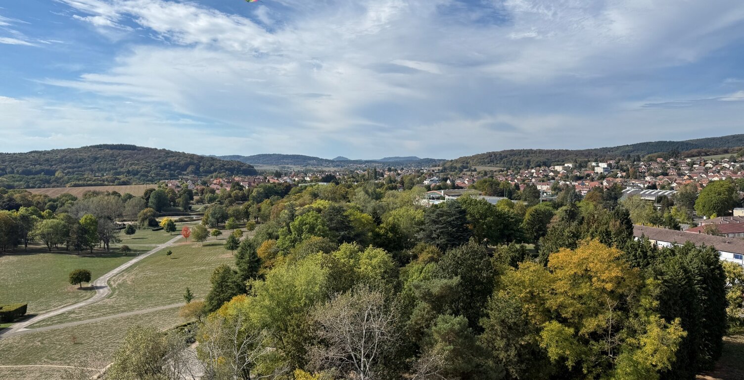 Appartement à louer 2 pièces BELFORT VUE SUPERBE sur les VOSGES ! balcon, cellier et cave — photo 1
