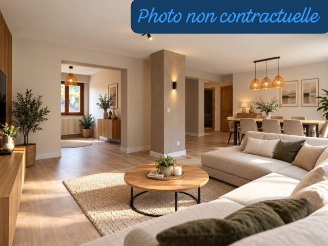 PROJET DE RENOVATION 3 pièces ORCIER (74) — photo du bien