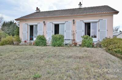 Maison à vendre SAINT AIGNAN LE JAILLARD (45) — photo du bien