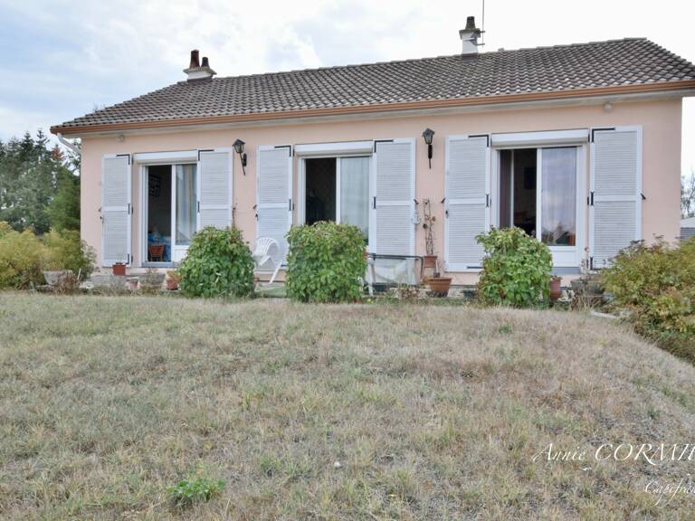 Maison à vendre SAINT AIGNAN LE JAILLARD (45) — photo 1