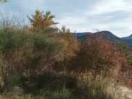 QUILLAN. Dpt Aude (11)  Terrain à bâtir viabilisé 700m² avec vue sur les montagnes – au calme et à seulement 2 km du centre-ville — photo 2