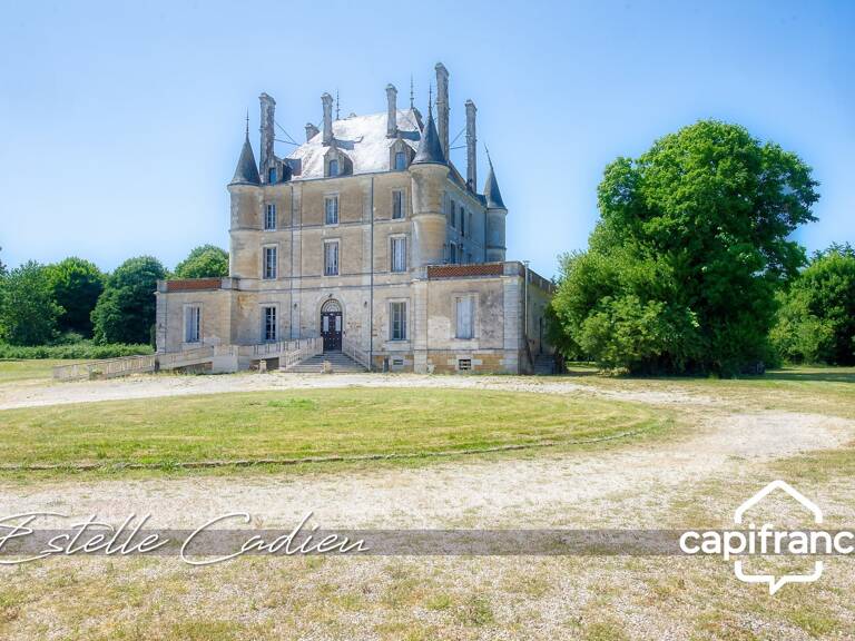 Propriété d’exception  – Château XIXe à CHANTONNAY (85) — photo 1