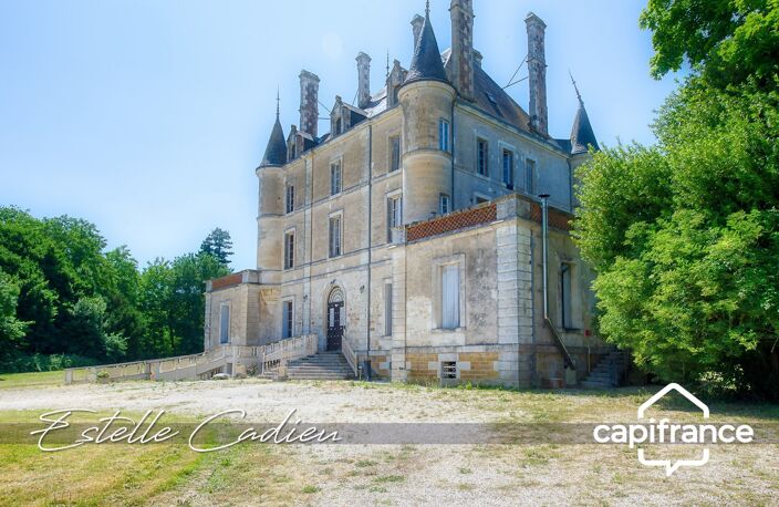 Propriété d’exception  – Château XIXe à CHANTONNAY (85) — photo 2
