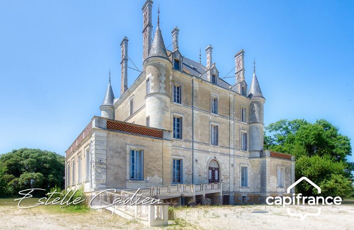 Propriété d’exception  – Château XIXe à CHANTONNAY (85) — photo 3