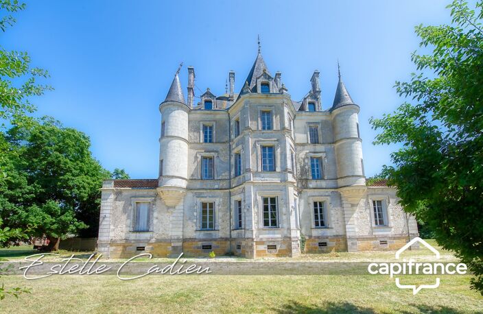 Propriété d’exception  – Château XIXe à CHANTONNAY (85) — photo 4