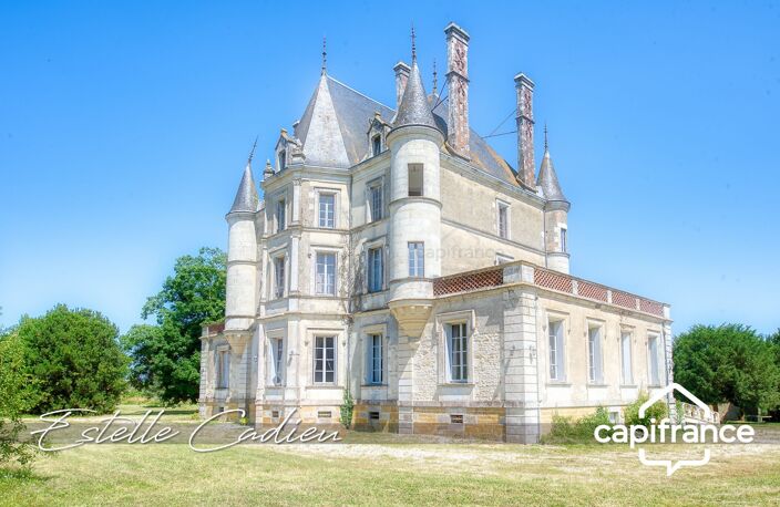Propriété d’exception  – Château XIXe à CHANTONNAY (85) — photo 5