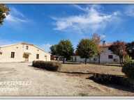 A vendre propriété 2 maisons - Terrain 2 ha — photo 4