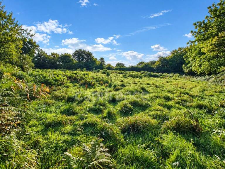 Terrain de 4 600 m² – La Feuillée, au cœur des Monts d’Arrée — photo 1