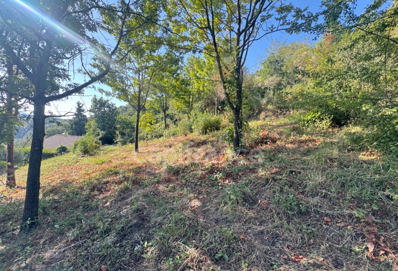 Terrain 2260m2 à vendre  FALICON (06) — photo 1