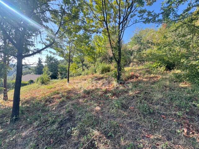 Terrain 2260m2 à vendre  FALICON (06) — photo du bien