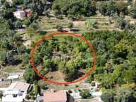 Terrain 2260m2 à vendre  FALICON (06) — photo 2
