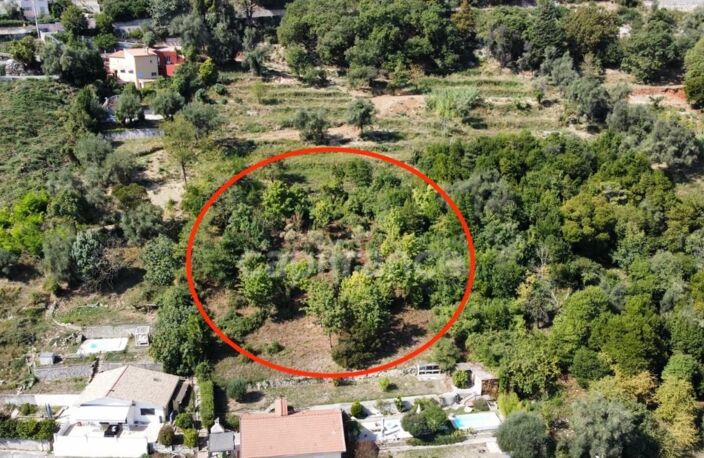Terrain 2260m2 à vendre  FALICON (06) — photo 2