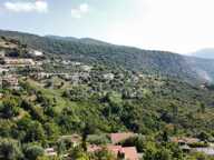 Terrain 2260m2 à vendre  FALICON (06) — photo 3