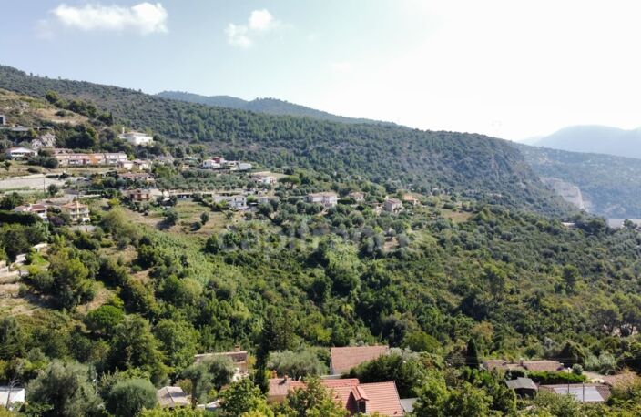Terrain 2260m2 à vendre  FALICON (06) — photo 3