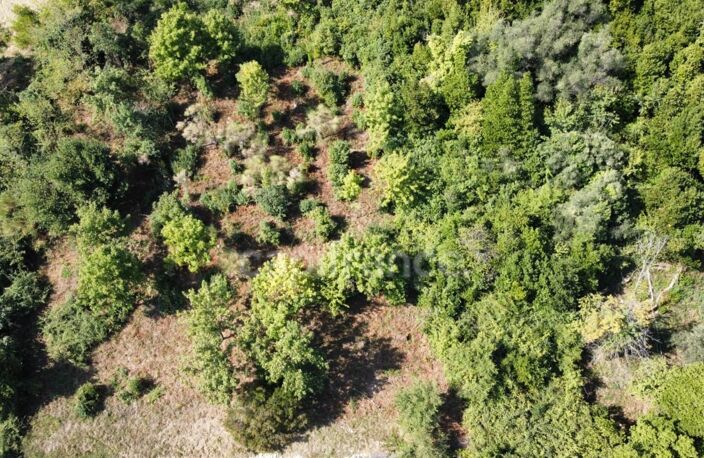 Terrain 2260m2 à vendre  FALICON (06) — photo 4