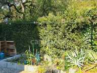 Appartement 3 pièces rénové avec jardin à Taninges — photo 4