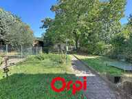 EXCLUSIVITÉ ORPI - Maison de charme de 1925 avec fort potentiel – 81 m² – Terrain 367 m² – Environnement calme et prisé — photo 3