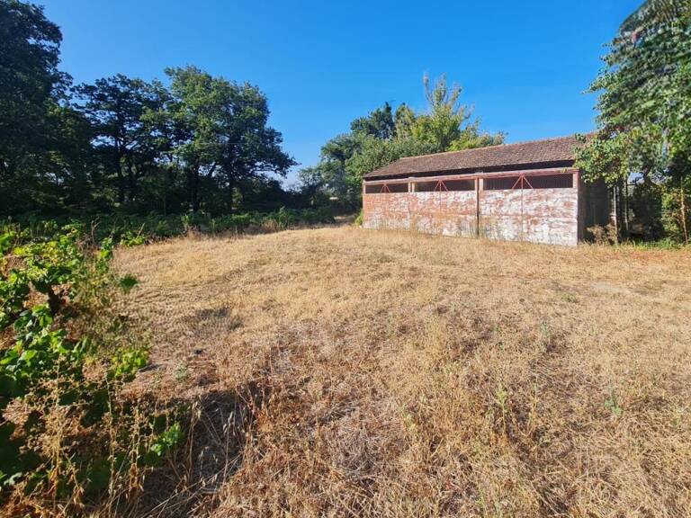 Terrain Sainte Cecile Les Vignes 591 m2 — photo 1