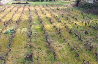 Terrain Sainte Cecile Les Vignes  hors lotissement de 591 m2 — photo du bien