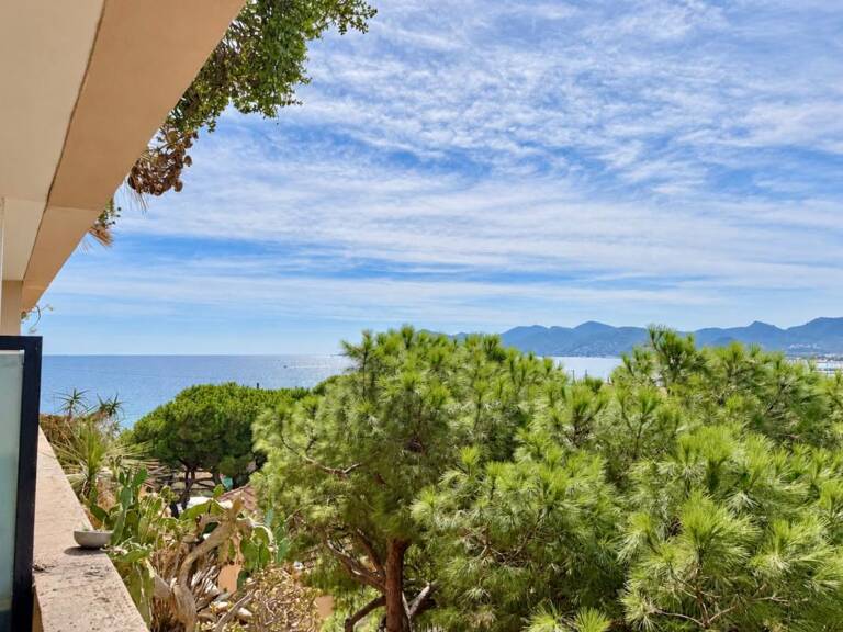 Appartement vue mer Cannes 2 pièces 30.20 m2 terrasse et parking — photo 1