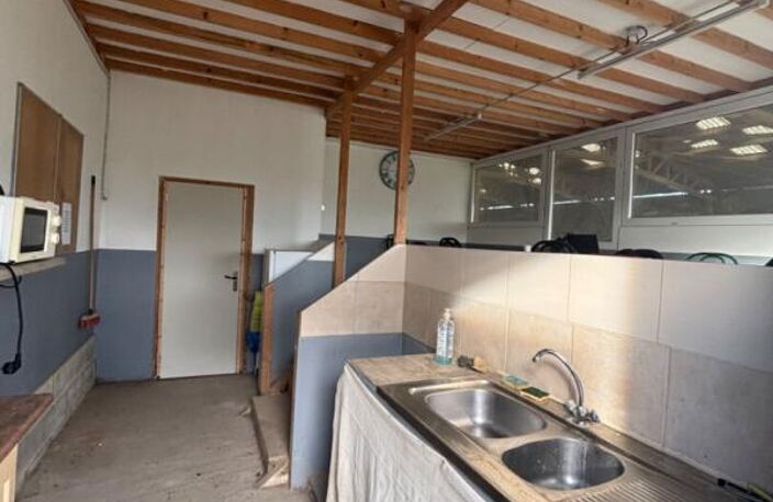 Propriété equestre Saint Romain De Colbosc — photo 4