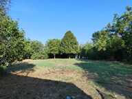 Maison 110 m2 / 3 chambres / garage / terrain 2660m² — photo 2