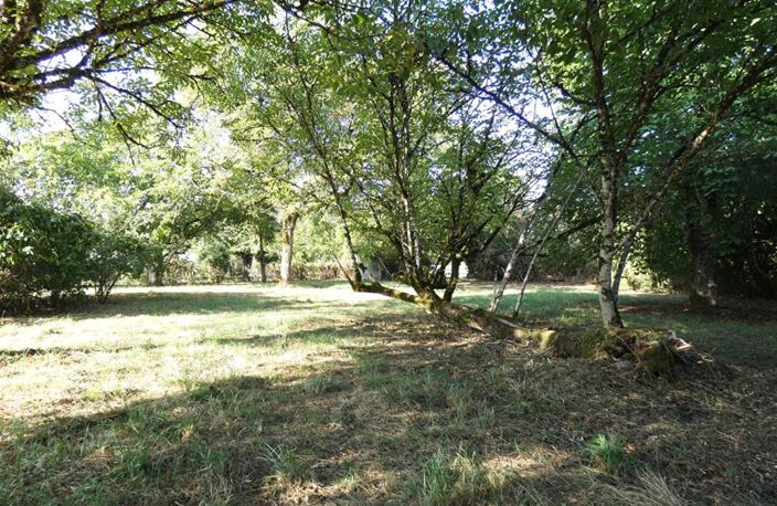 Maison 110 m2 / 3 chambres / garage / terrain 2660m² — photo 3
