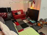 Charmant T2  de 41 m² loué avec cour loué à 458 + 60 euros de charges — photo 3