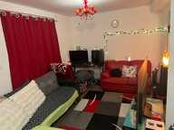 Charmant T2  de 41 m² loué avec cour loué à 458 + 60 euros de charges — photo 4