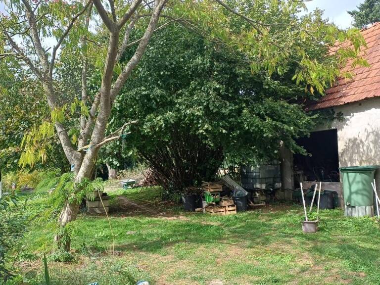 MAISON LASSIGNY, JARDIN, DEPENDANCES — photo 1