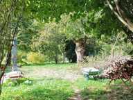 MAISON LASSIGNY, JARDIN, DEPENDANCES — photo 3