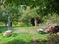 MAISON LASSIGNY, JARDIN, DEPENDANCES — photo 4