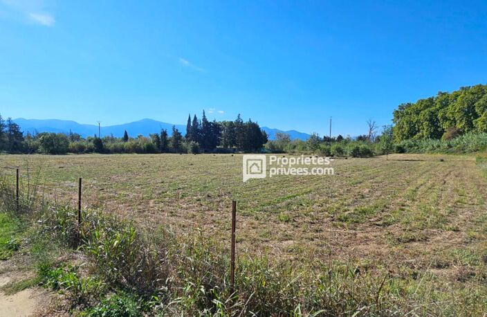 Terrains agricoles à  Elne  d'une superficie totale de 29 154 m2 — photo 2