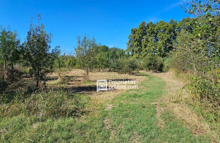 Terrains agricoles à  Elne  d'une superficie totale de 29 154 m2 — photo 4