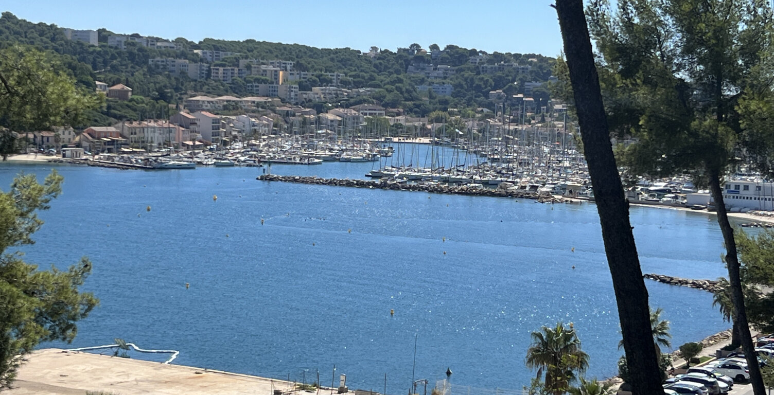VENTE DE LOCAUX PROFESSIONNELS ET LIBERAUX SAINT-MANDRIER ( — photo 1